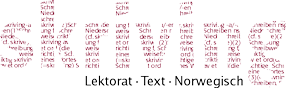 skriving - Lektorat, Text, Norwegisch