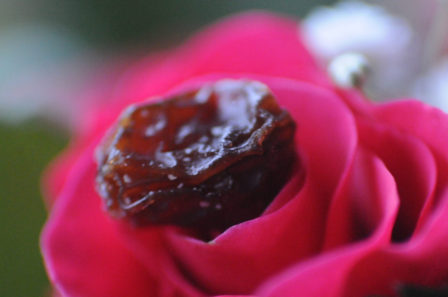 Was ist wohl ein Rosien-Brötchen? Eine Rose, die eine Rosine hervorbringt?